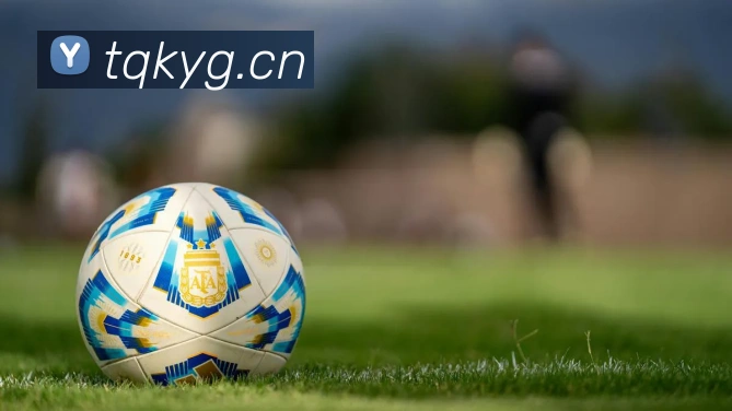 九游j9官网入口免费发展历程